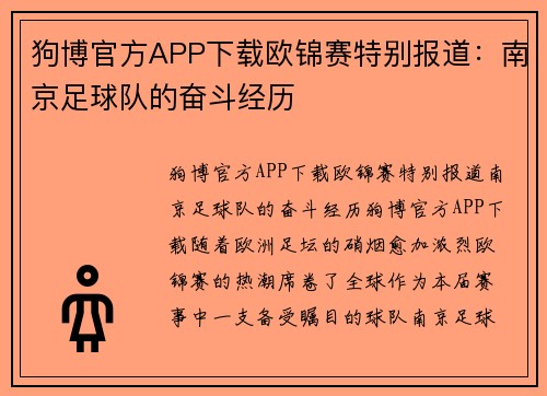狗博官方APP下载欧锦赛特别报道：南京足球队的奋斗经历